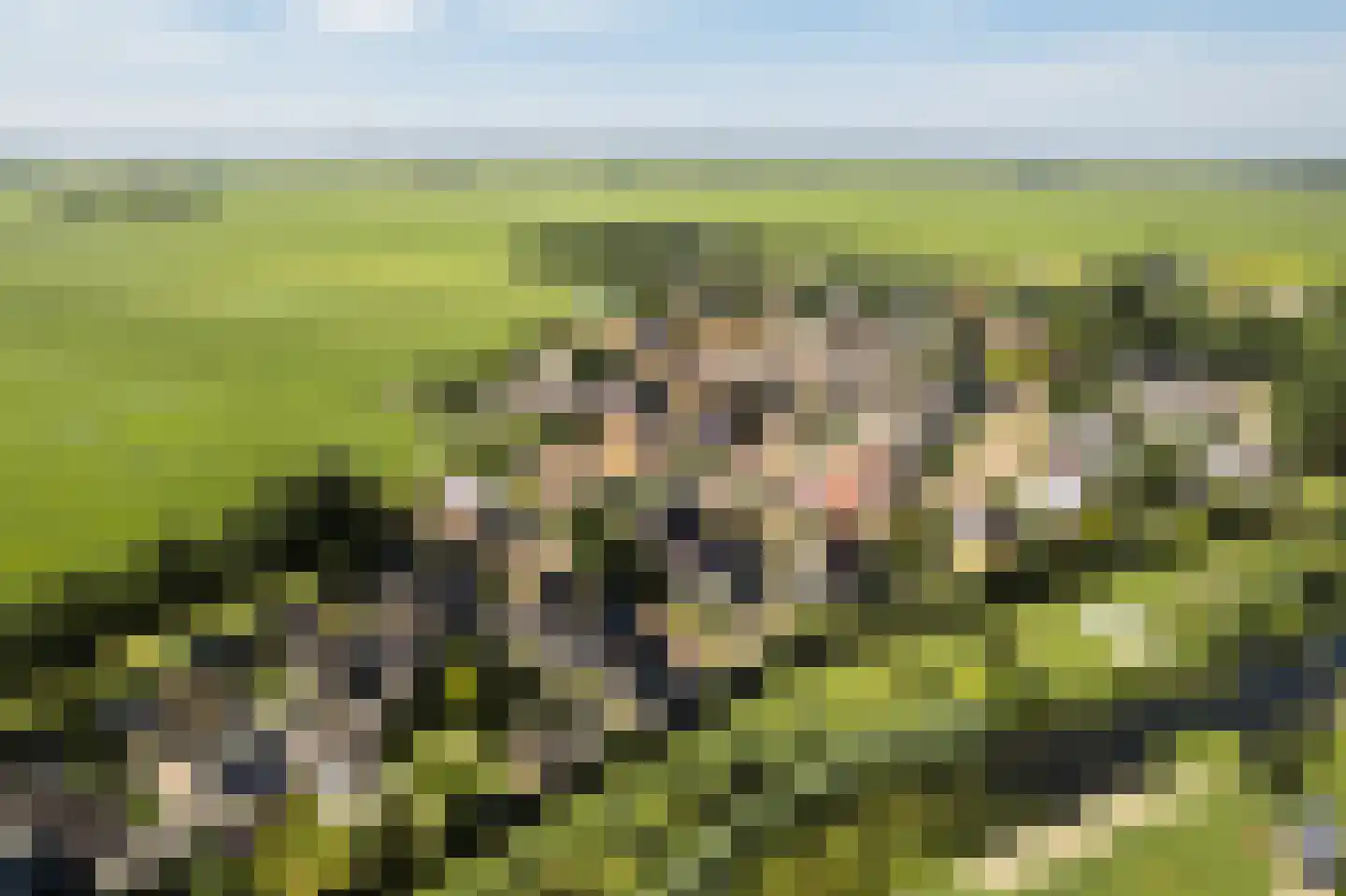 Stinswei 17 Hommerts thumbnail 33