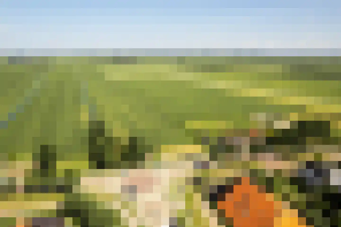 Stinswei 17 Hommerts thumbnail 34
