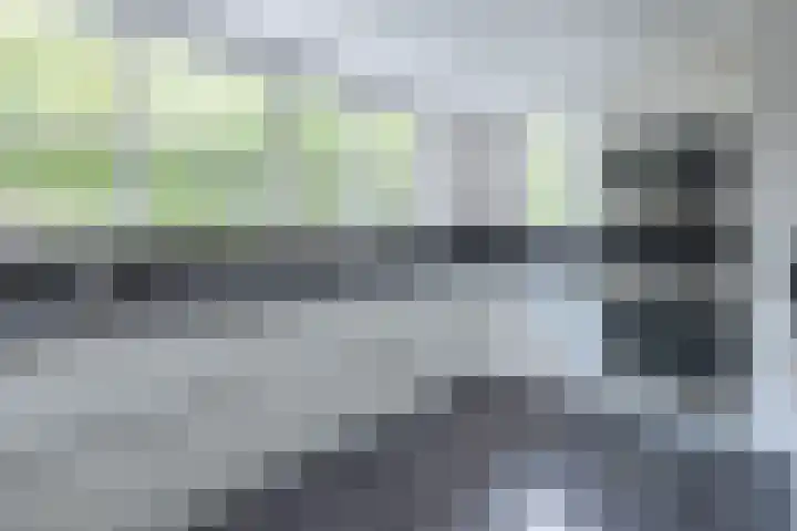 Stinus Blomlaan 23 Maarsbergen thumbnail 10