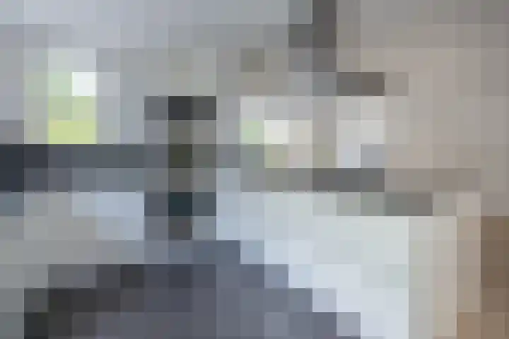 Stinus Blomlaan 23 Maarsbergen thumbnail 11