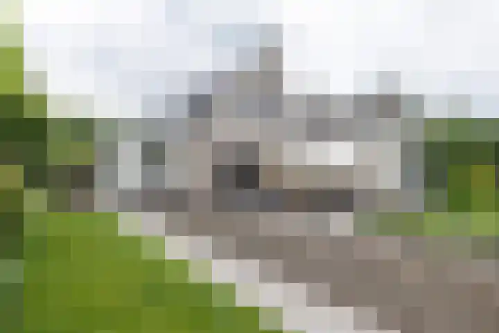 Stinus Blomlaan 23 Maarsbergen thumbnail 46