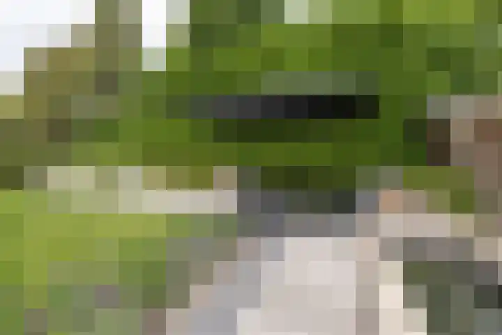 Stinus Blomlaan 23 Maarsbergen thumbnail 47