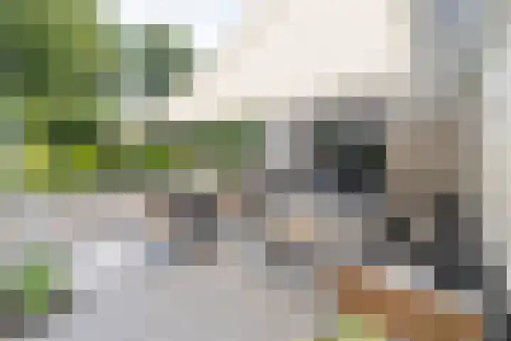 Stinus Blomlaan 23 Maarsbergen thumbnail 48