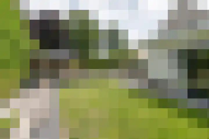 Stinus Blomlaan 23 Maarsbergen thumbnail 49