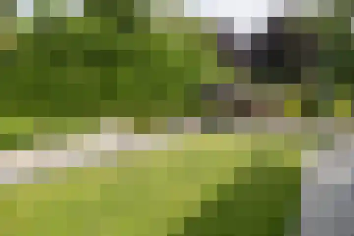 Stinus Blomlaan 23 Maarsbergen thumbnail 50