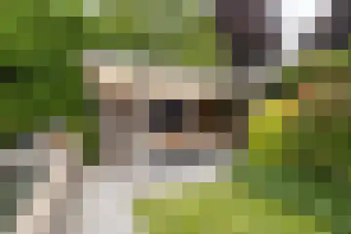 Stinus Blomlaan 23 Maarsbergen thumbnail 51