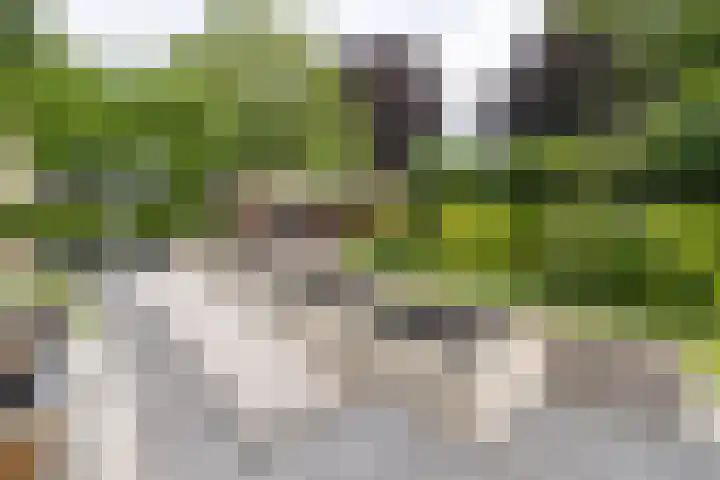 Stinus Blomlaan 23 Maarsbergen thumbnail 53