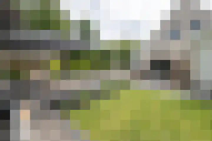 Stinus Blomlaan 23 Maarsbergen thumbnail 54
