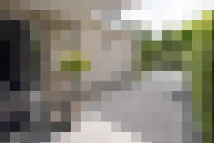 Stinus Blomlaan 23 Maarsbergen thumbnail 57