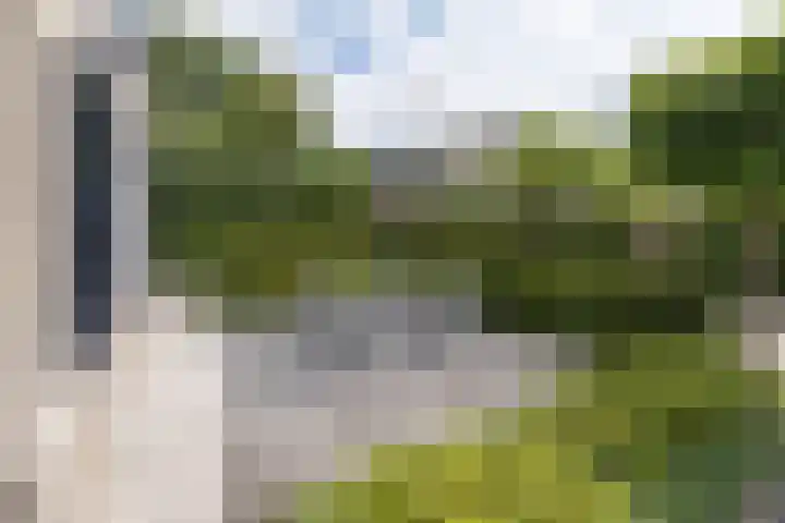 Stinus Blomlaan 23 Maarsbergen thumbnail 58
