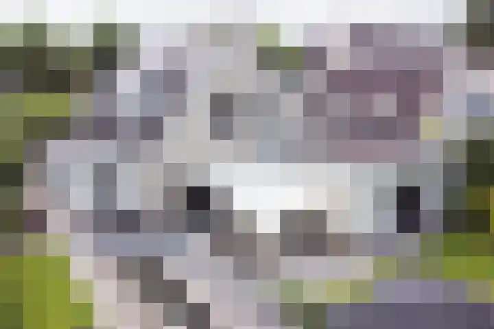 Stinus Blomlaan 23 Maarsbergen thumbnail 64