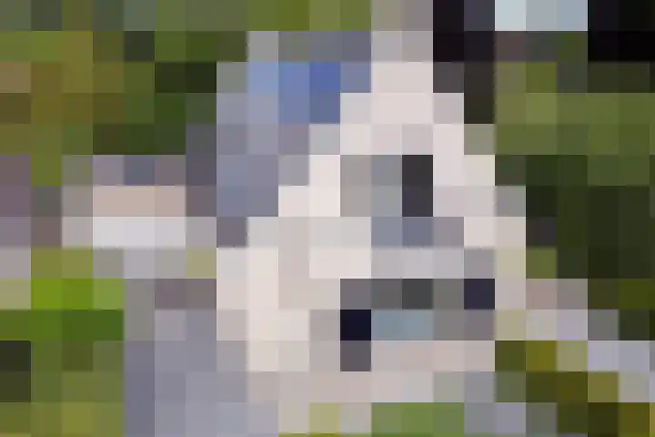 Stinus Blomlaan 23 Maarsbergen thumbnail 65