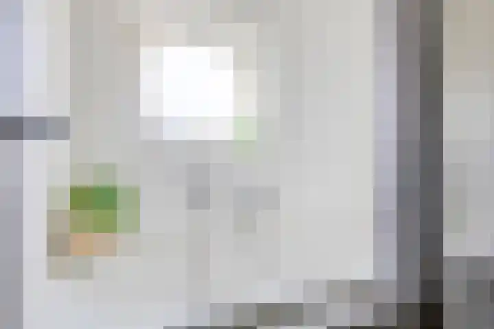 Stinze 2 Veldhoven thumbnail 18