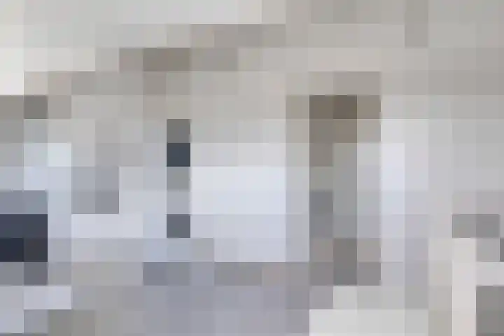 Stinze 2 Veldhoven thumbnail 22