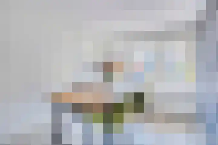 Stinze 2 Veldhoven thumbnail 6
