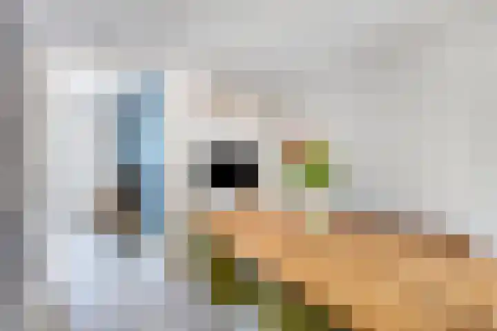 Stinze 2 Veldhoven thumbnail 7