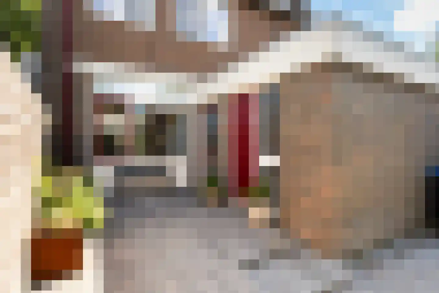 Stinzenflora 64 Leeuwarden thumbnail 7