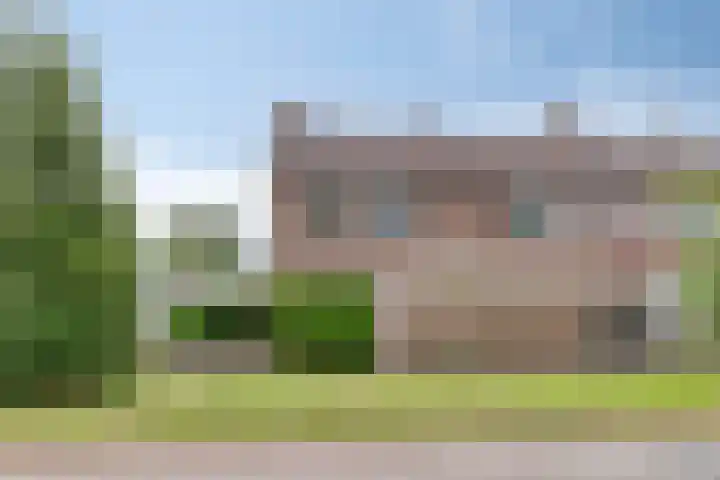 Stinzenflora 78 in Leeuwarden