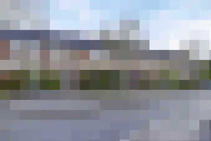 Stinzenflora 96 in Leeuwarden