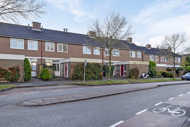 Stinzenflora 96 dans Leeuwarden photo