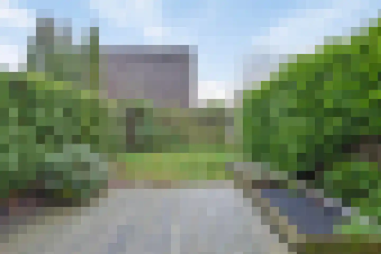 Stinzenflora 96 Leeuwarden thumbnail 36
