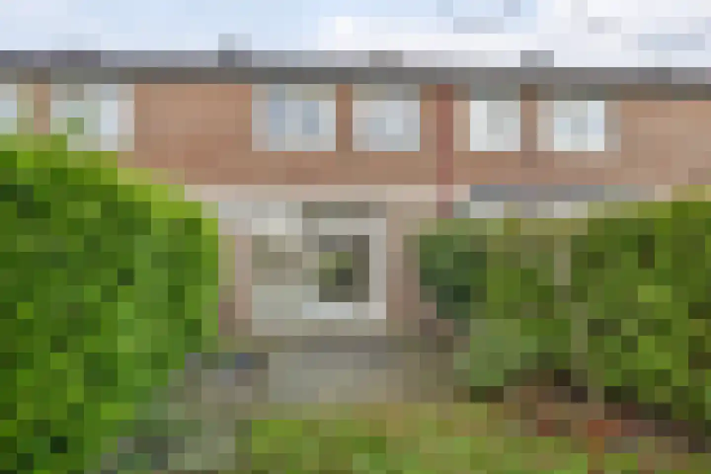 Stinzenflora 96 Leeuwarden thumbnail 37