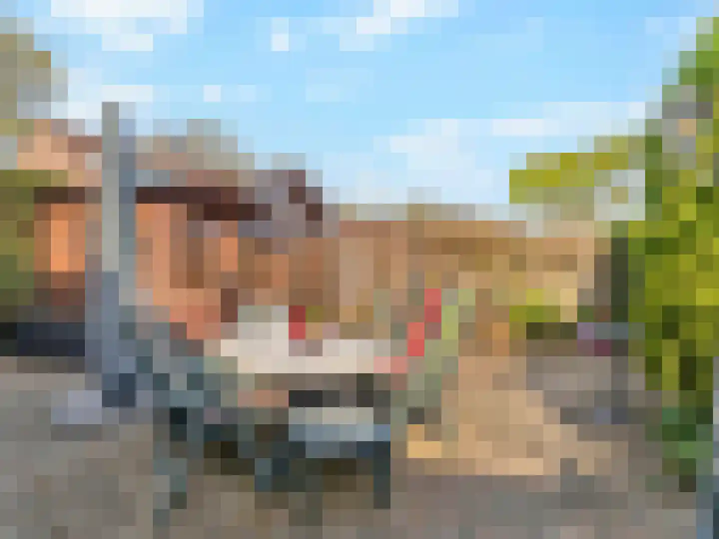 Stinzenlaan 16 Breukelen thumbnail 35