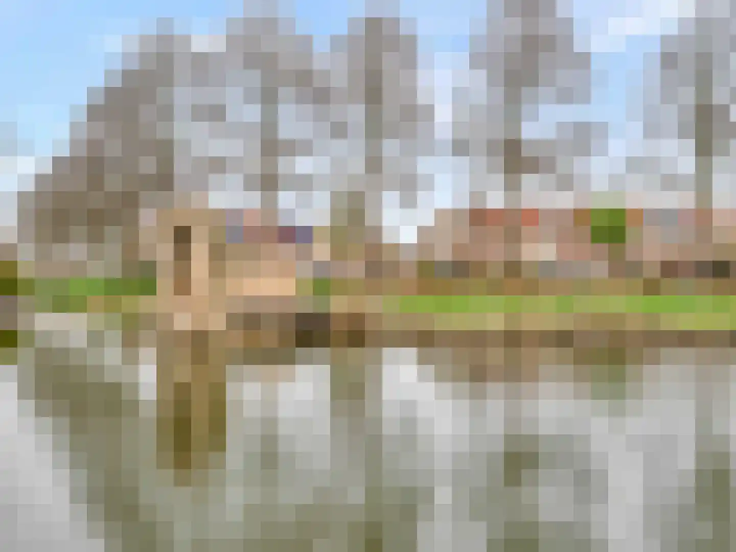 Stinzenlaan Noord 150 Breukelen thumbnail 40