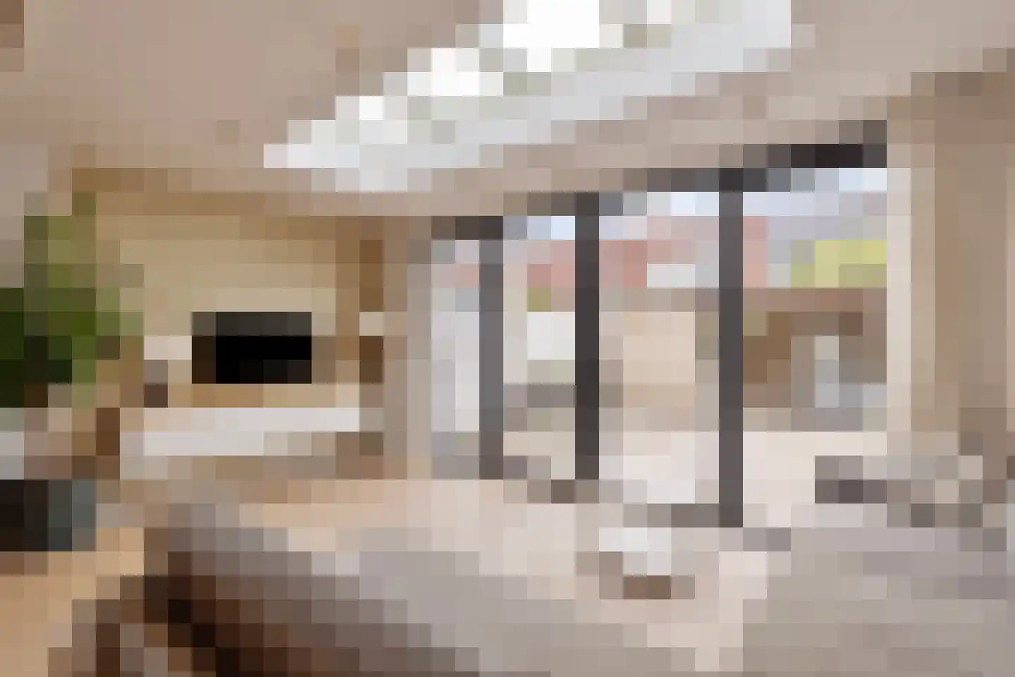 Stinzenlaan Zuid 210 Breukelen thumbnail 16