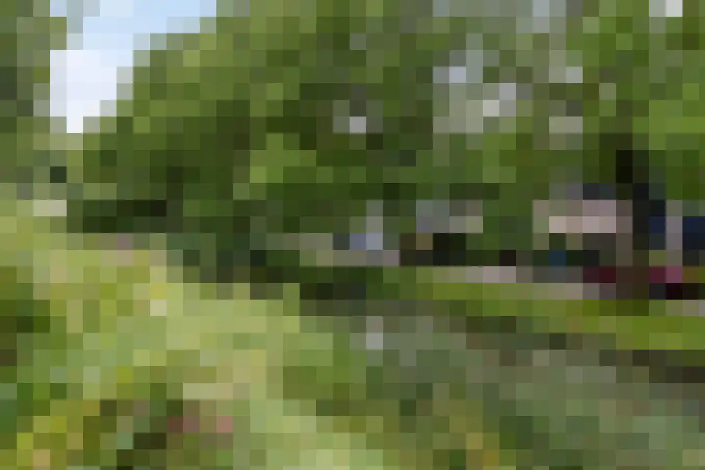 Stinzenlaan Zuid 210 Breukelen thumbnail 35