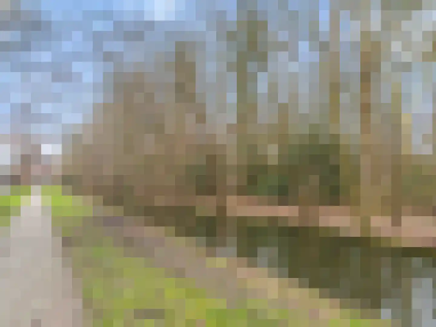 Stinzenlaan Zuid 245 Breukelen thumbnail 50