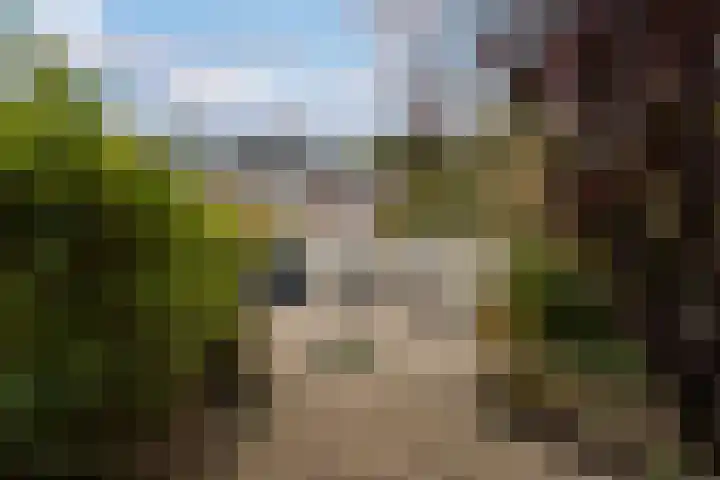 Stinzenlaan Zuid 248 Breukelen thumbnail 19
