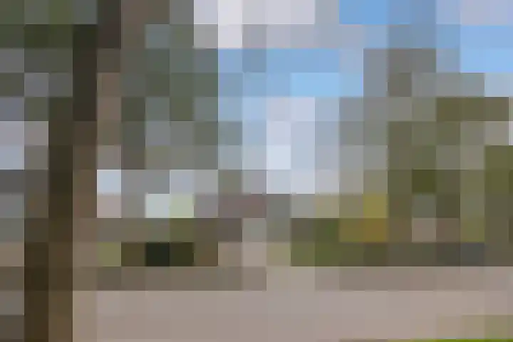 Stinzenlaan Zuid 248 Breukelen thumbnail 36