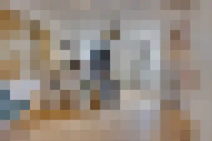 Stinzenlaan Zuid 248 Breukelen thumbnail 5