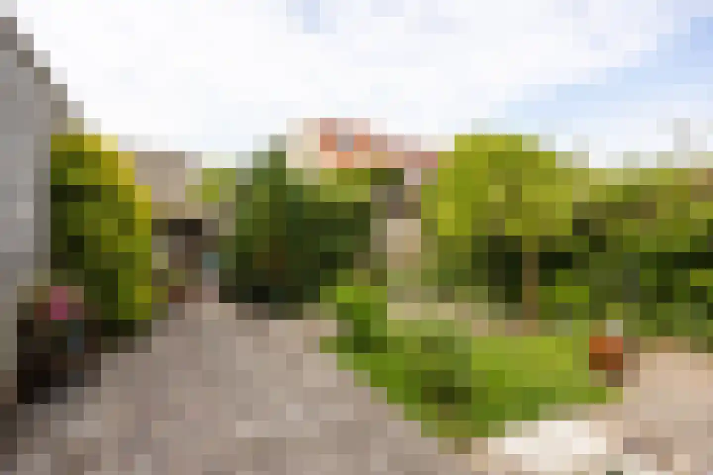 Stinzenlaan Zuid 262 Breukelen thumbnail 31