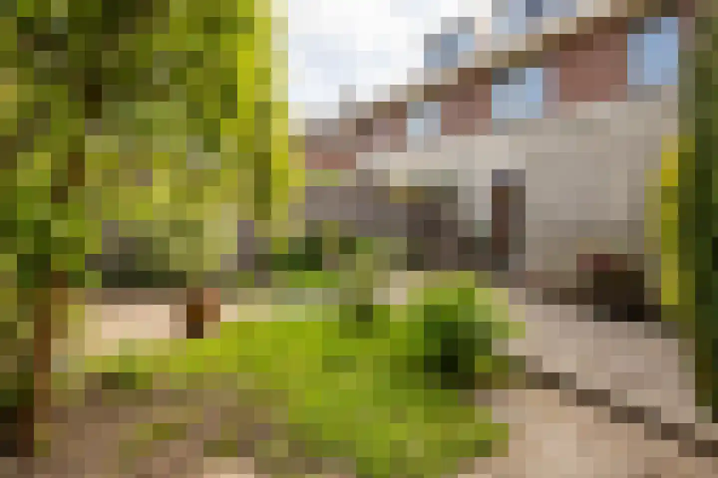 Stinzenlaan Zuid 262 Breukelen thumbnail 32
