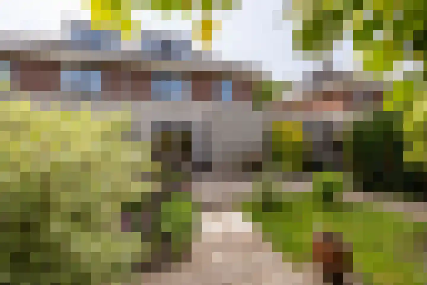 Stinzenlaan Zuid 262 Breukelen thumbnail 33