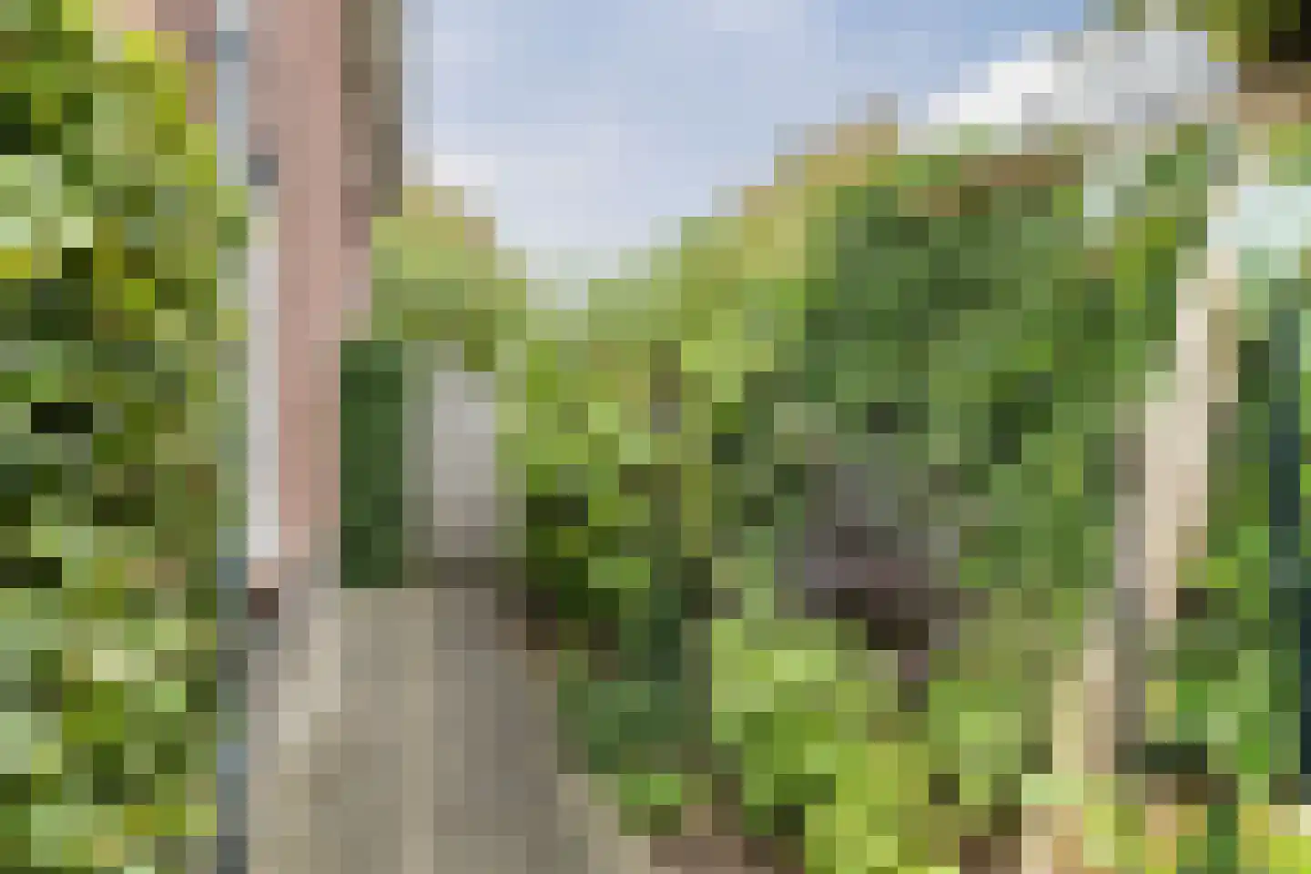 Stinzenlaan Zuid 263 Breukelen thumbnail 57