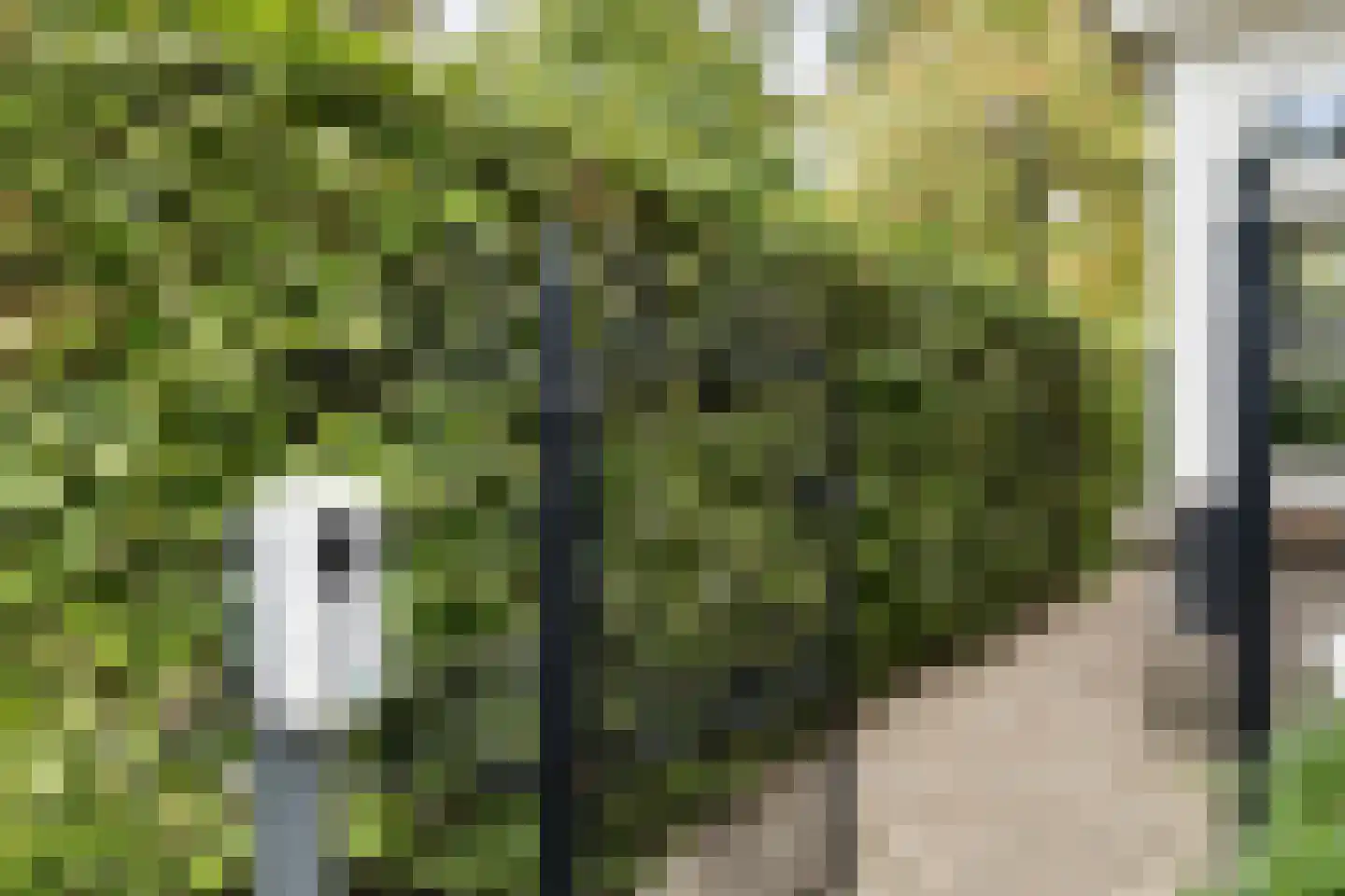Stinzenlaan Zuid 263 Breukelen thumbnail 6