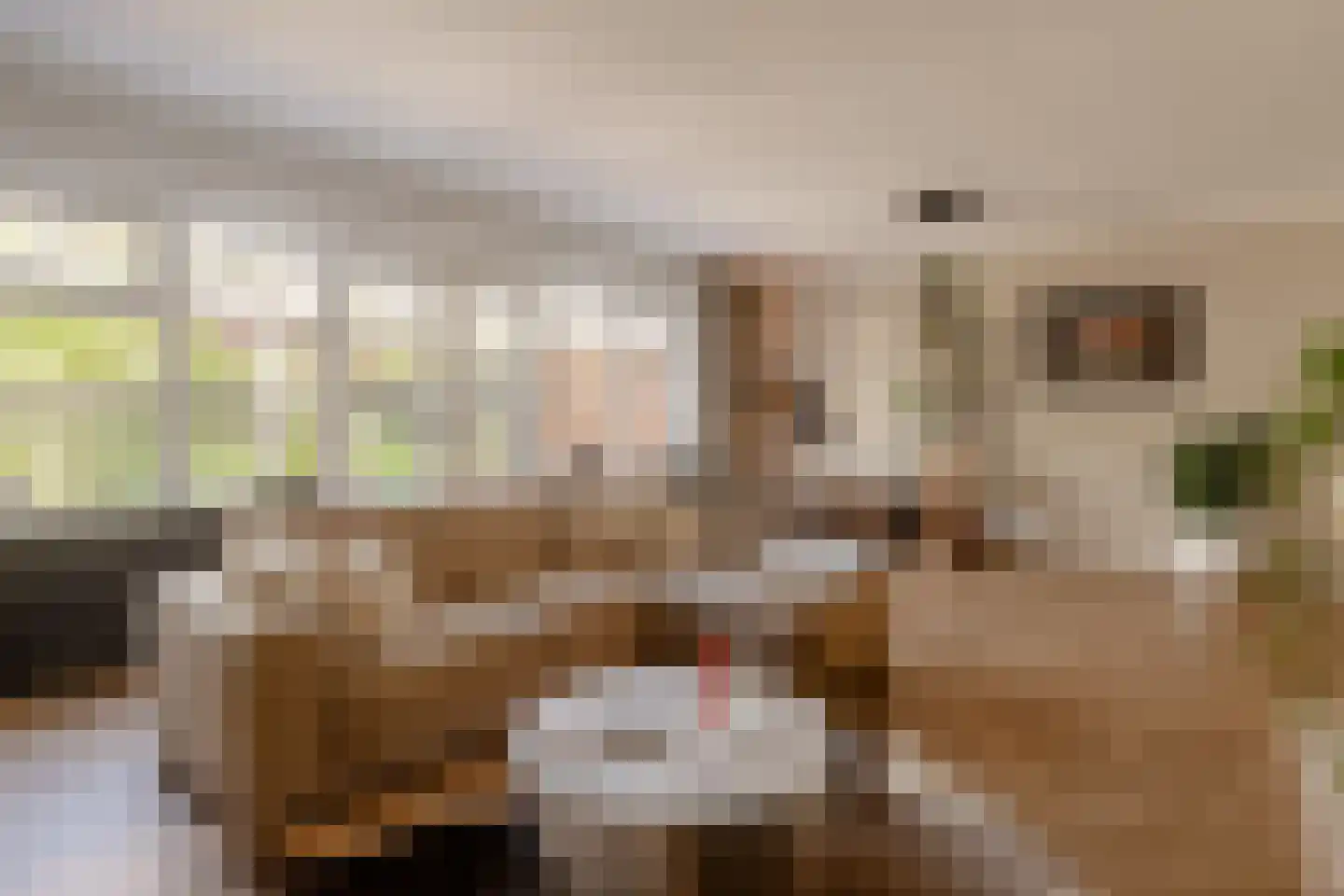 Stinzenlaan Zuid 269 Breukelen thumbnail 17