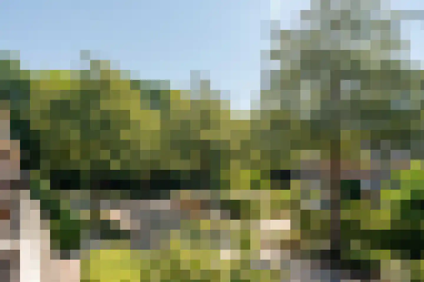 Stinzenlaan Zuid 269 Breukelen thumbnail 30