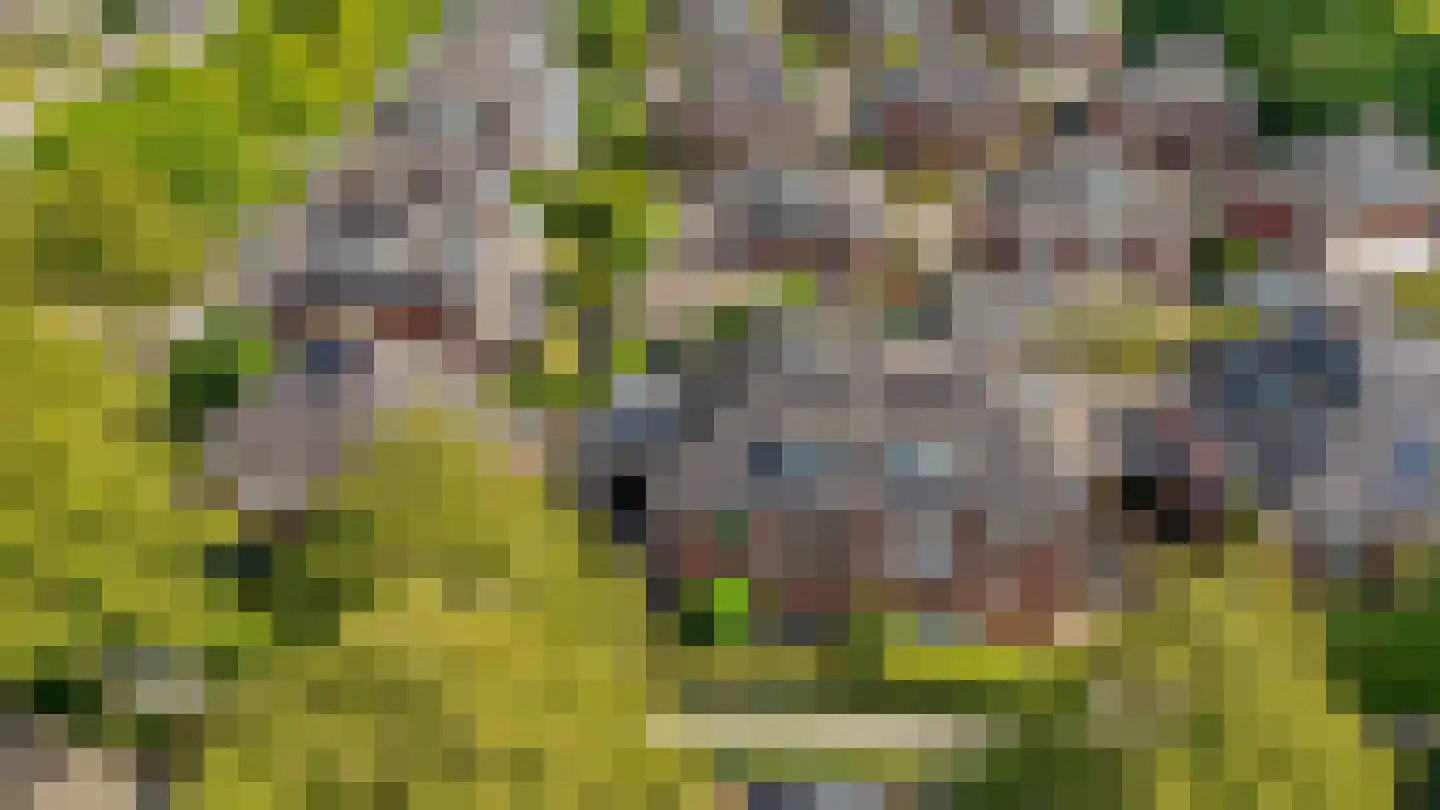 Stinzenlaan Zuid 269 Breukelen thumbnail 4