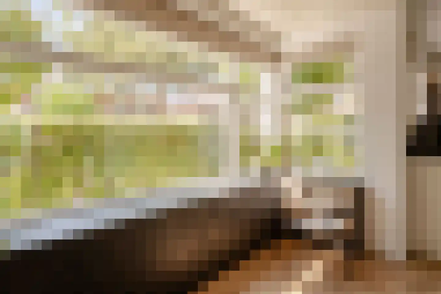 Stinzenlaan Zuid 269 Breukelen thumbnail 9