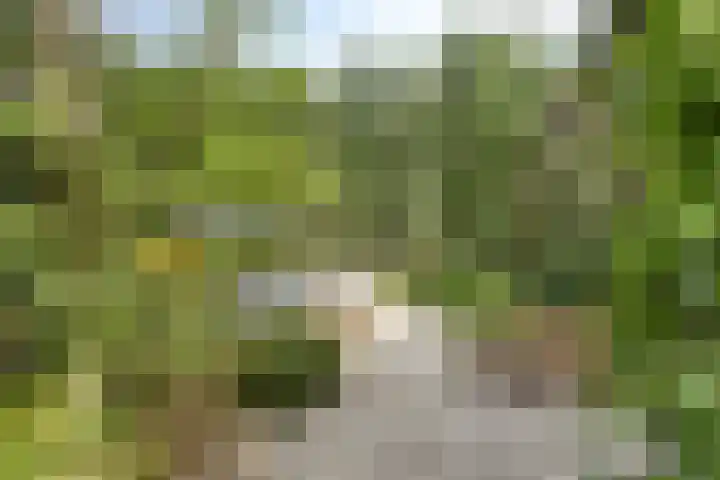 Stiphoutseweg 1 Lieshout thumbnail 10