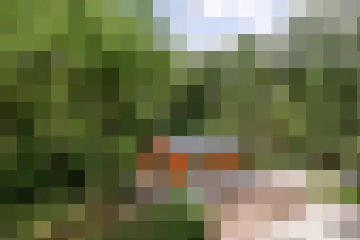 Stiphoutseweg 1 Lieshout thumbnail 12