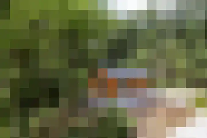 Stiphoutseweg 1 Lieshout thumbnail 13