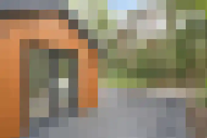 Stiphoutseweg 1 Lieshout thumbnail 26