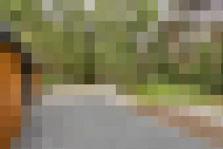 Stiphoutseweg 1 Lieshout thumbnail 27