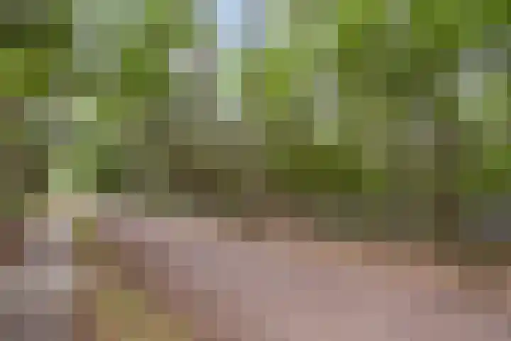 Stiphoutseweg 1 Lieshout thumbnail 29