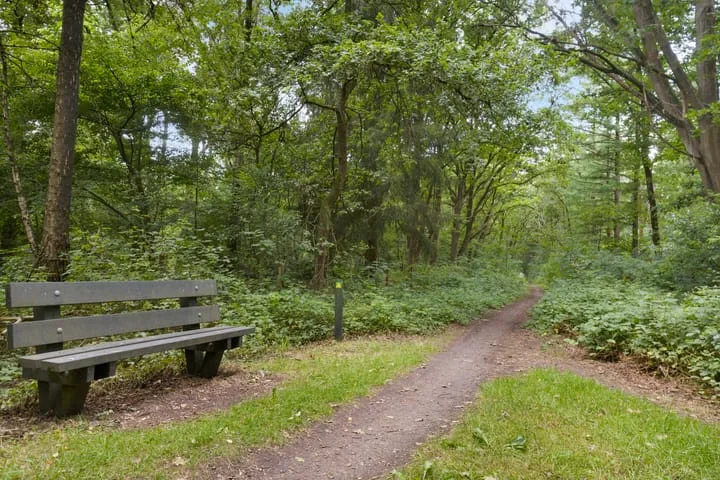 Stiphoutseweg 1 Lieshout thumbnail 30